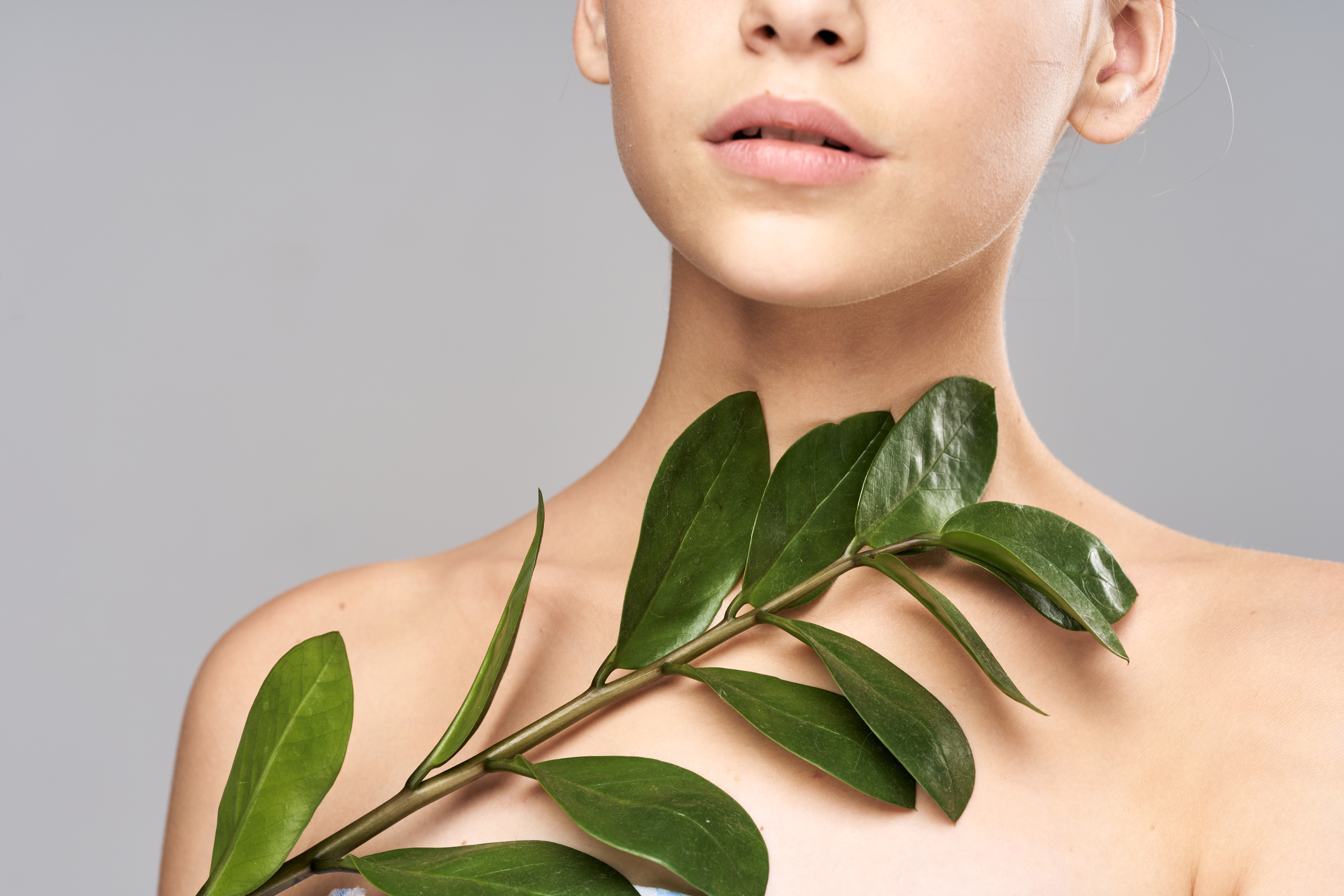 CLEAN_shutterstock_1532598236