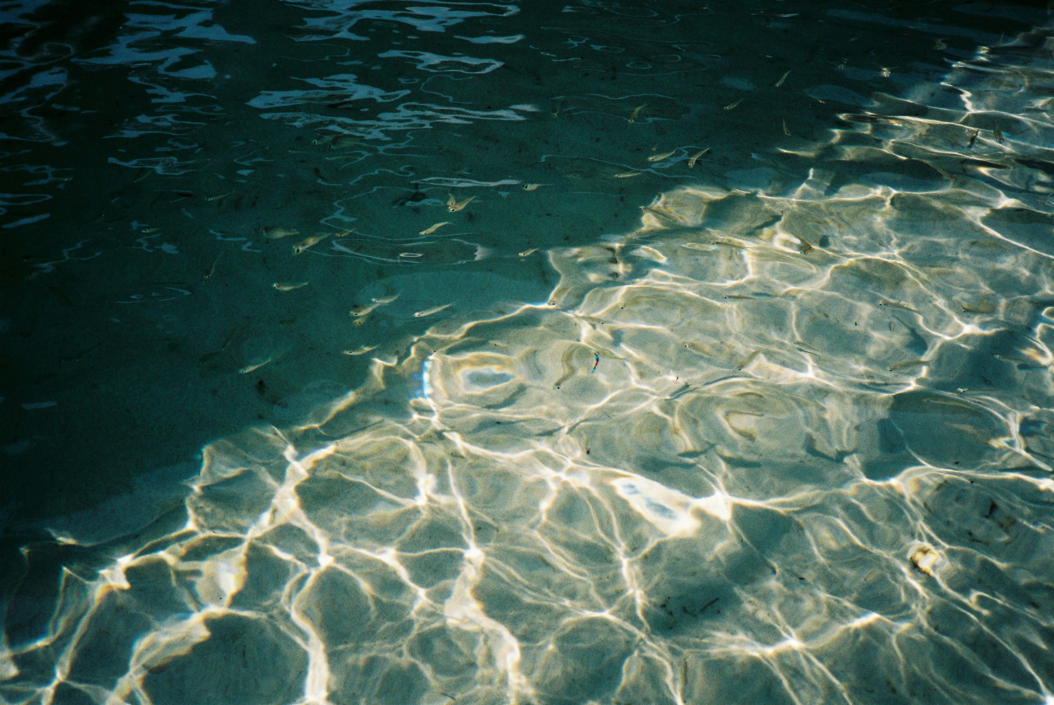 ankush-nath-sehgal-f4V9KYRPBds-unsplash